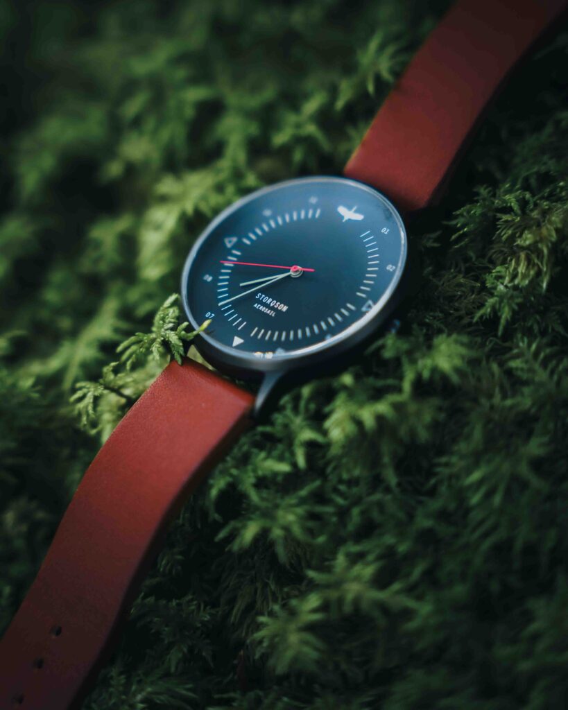 Eine Armbanduhr liegt im Moos